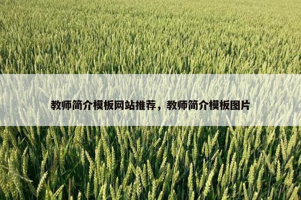 教师简介模板网站推荐，教师简介模板图片