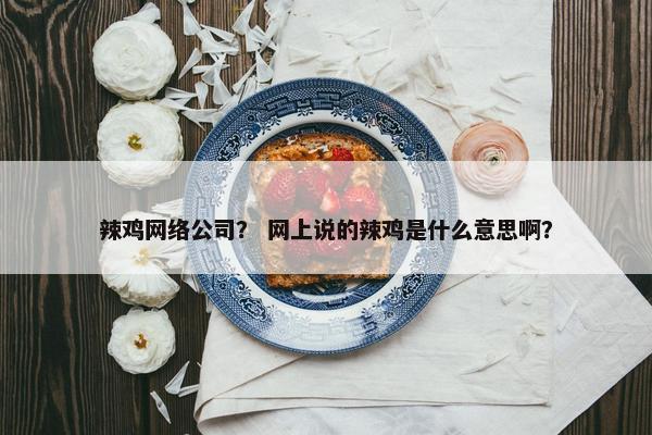 辣鸡网络公司？ 网上说的辣鸡是什么意思啊？