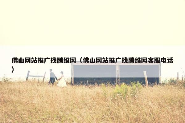 佛山网站推广找腾维网（佛山网站推广找腾维网客服电话）