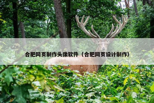 合肥网页制作头像软件（合肥网页设计制作）