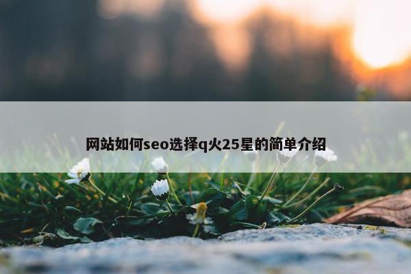 网站如何seo选择q火25星的简单介绍