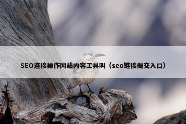 SEO连接操作网站内容工具叫（seo链接提交入口）