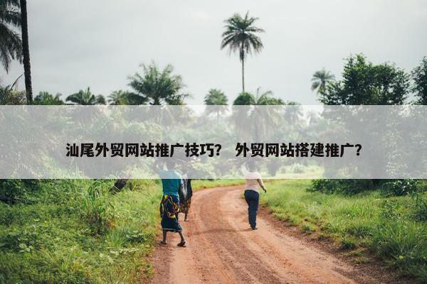 汕尾外贸网站推广技巧？ 外贸网站搭建推广？