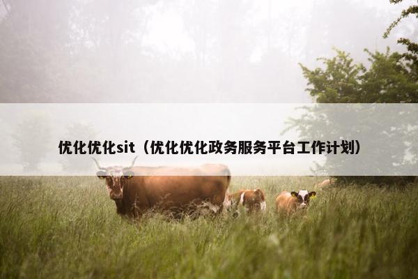 优化优化sit（优化优化政务服务平台工作计划）