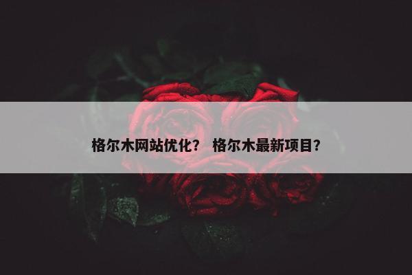 格尔木网站优化？ 格尔木最新项目？