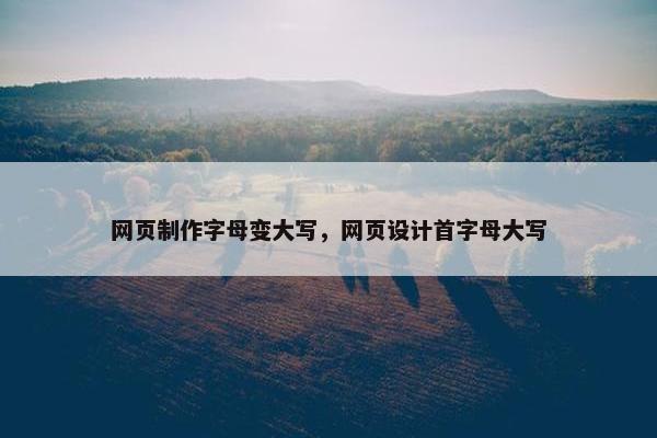 网页制作字母变大写，网页设计首字母大写
