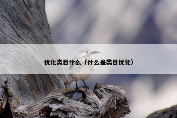 优化类目什么（什么是类目优化）
