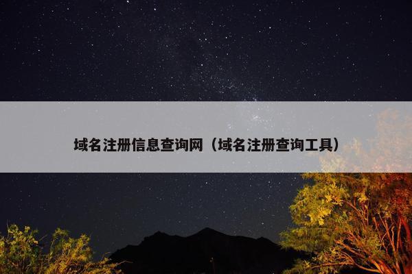 域名注册信息查询网（域名注册查询工具）