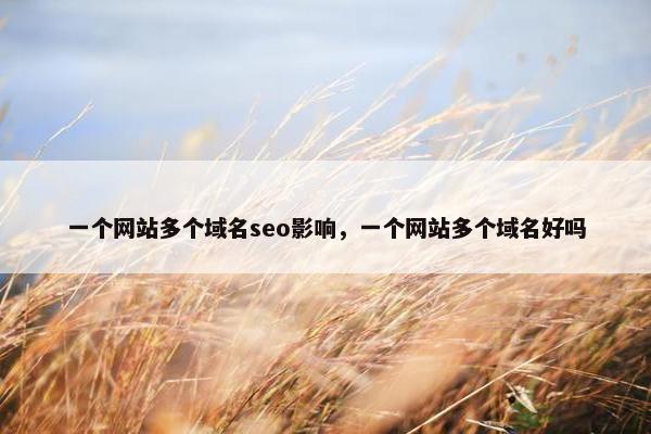一个网站多个域名seo影响，一个网站多个域名好吗