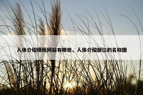人体介绍模板网站有哪些，人体介绍部位的名称图