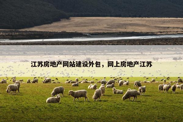 江苏房地产网站建设外包，网上房地产江苏