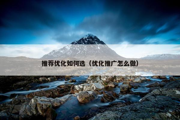 推荐优化如何选（优化推广怎么做）