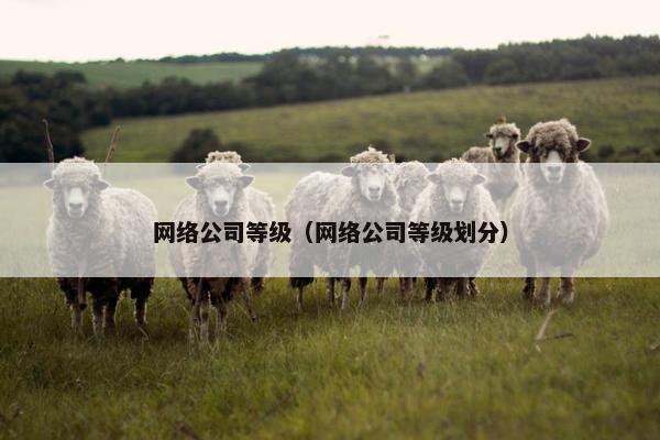 网络公司等级（网络公司等级划分）