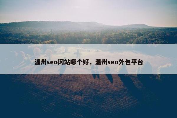 温州seo网站哪个好，温州seo外包平台