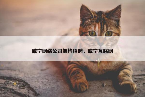 咸宁网络公司架构招聘，咸宁互联网