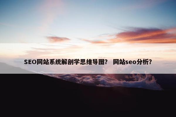 SEO网站系统解剖学思维导图？ 网站seo分析？