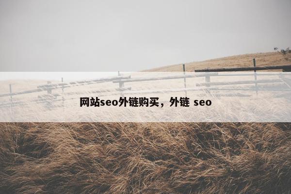 网站seo外链购买，外链 seo
