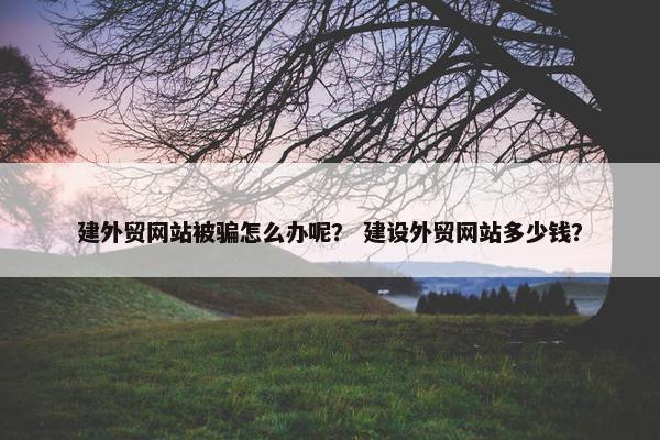 建外贸网站被骗怎么办呢？ 建设外贸网站多少钱？