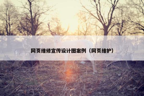 网页维修宣传设计图案例（网页维护）