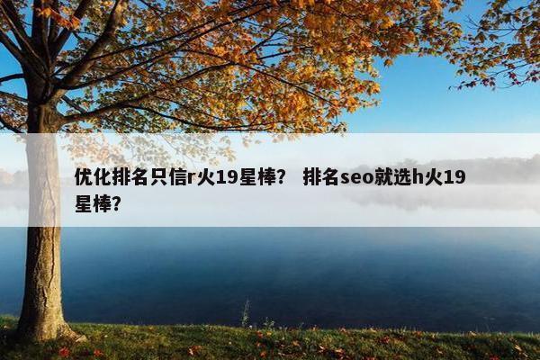 优化排名只信r火19星棒？ 排名seo就选h火19星棒？