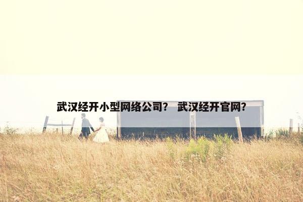 武汉经开小型网络公司？ 武汉经开官网？