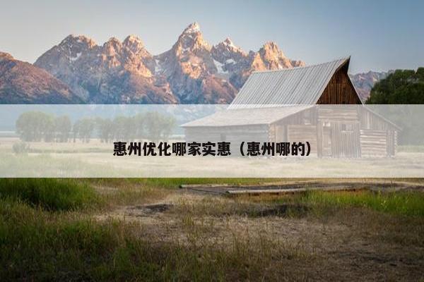 惠州优化哪家实惠（惠州哪的）