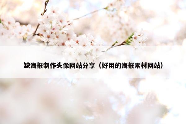 缺海报制作头像网站分享（好用的海报素材网站）
