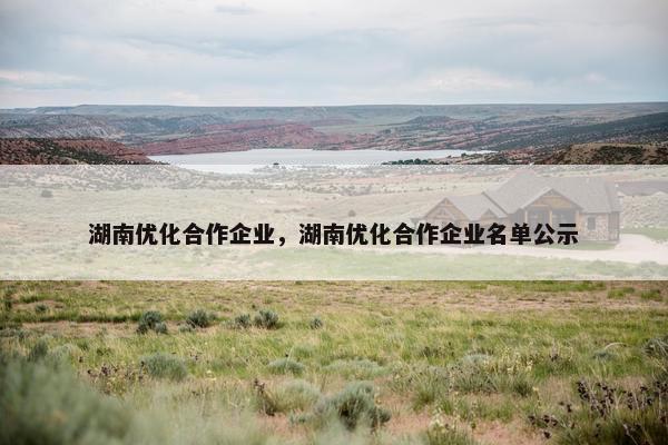 湖南优化合作企业，湖南优化合作企业名单公示