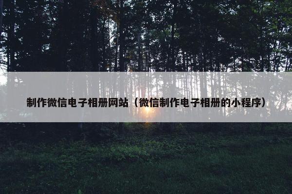 制作微信电子相册网站（微信制作电子相册的小程序）
