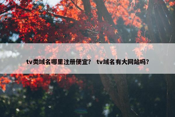 tv类域名哪里注册便宜？ tv域名有大网站吗？