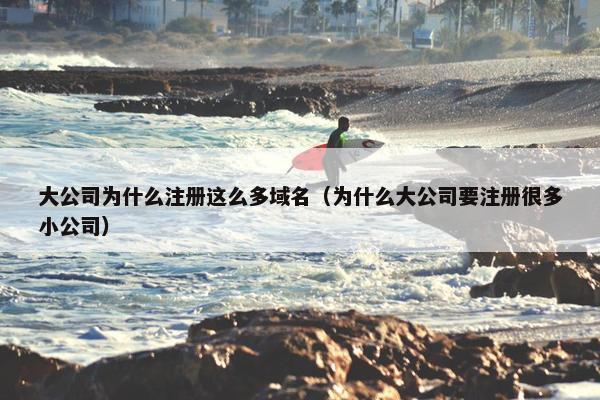 大公司为什么注册这么多域名（为什么大公司要注册很多小公司）