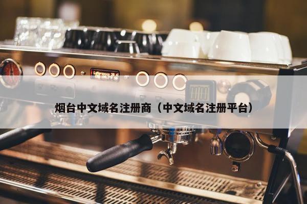 烟台中文域名注册商（中文域名注册平台）