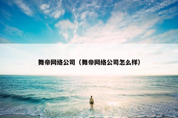 舞帝网络公司（舞帝网络公司怎么样）