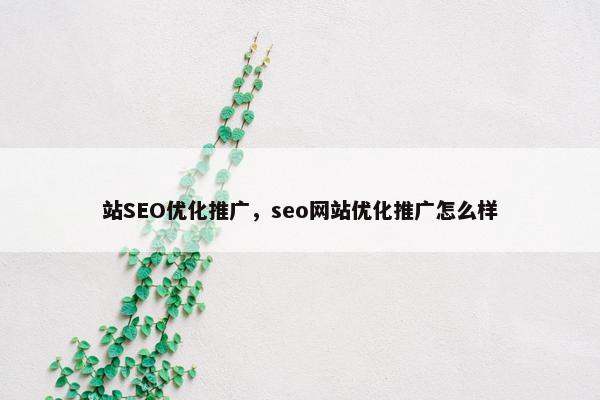 站SEO优化推广，seo网站优化推广怎么样