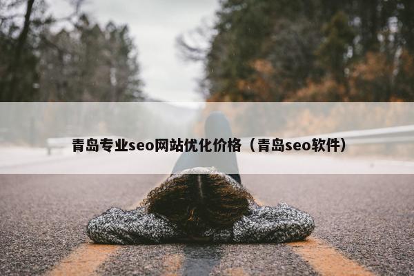 青岛专业seo网站优化价格（青岛seo软件）