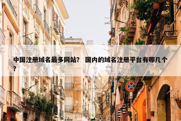 中国注册域名最多网站？ 国内的域名注册平台有哪几个？