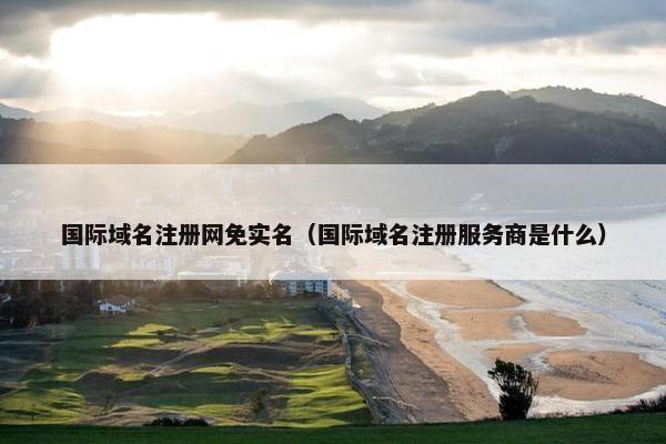 国际域名注册网免实名（国际域名注册服务商是什么）