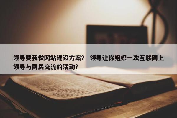 领导要我做网站建设方案？ 领导让你组织一次互联网上领导与网民交流的活动？
