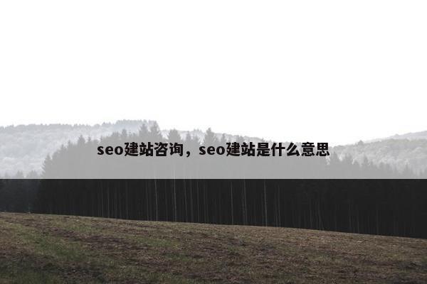 seo建站咨询，seo建站是什么意思