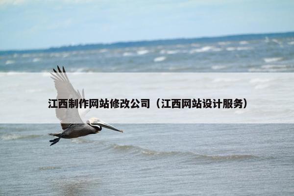 江西制作网站修改公司（江西网站设计服务）