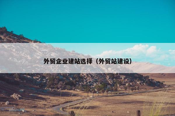 外贸企业建站选择（外贸站建设）