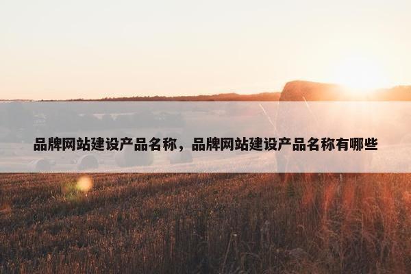 品牌网站建设产品名称，品牌网站建设产品名称有哪些