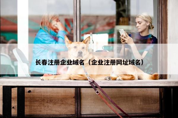 长春注册企业域名（企业注册网址域名）