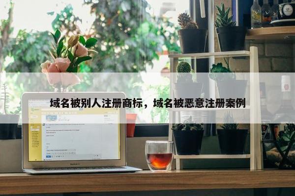 域名被别人注册商标，域名被恶意注册案例