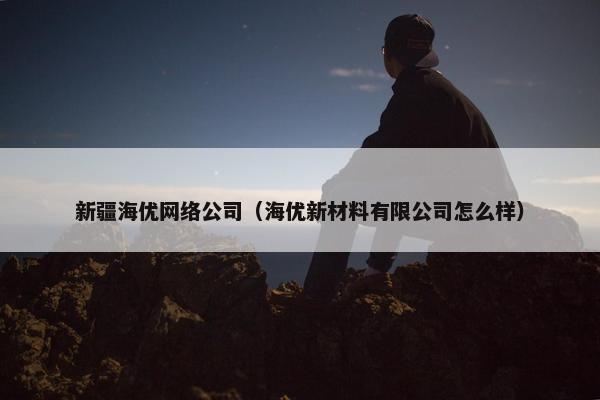 新疆海优网络公司（海优新材料有限公司怎么样）