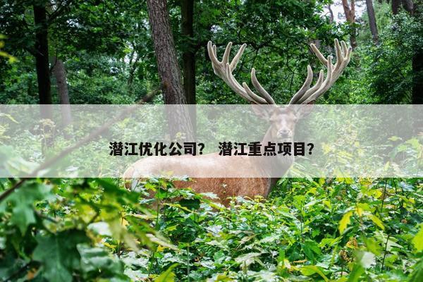 潜江优化公司？ 潜江重点项目？
