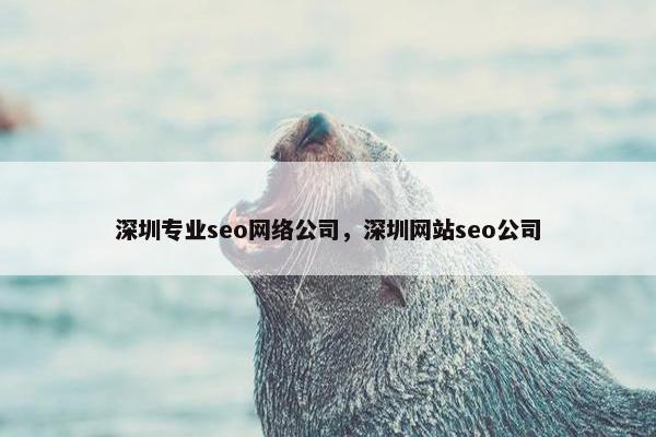 深圳专业seo网络公司，深圳网站seo公司