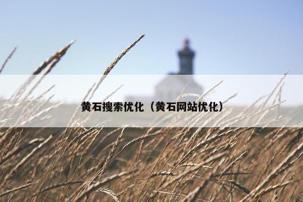 黄石搜索优化（黄石网站优化）