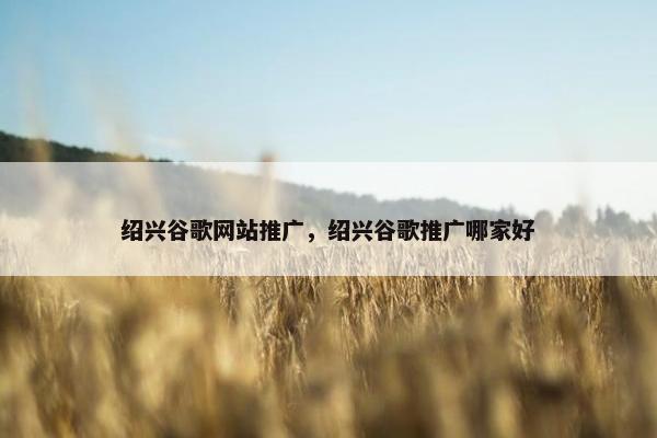绍兴谷歌网站推广，绍兴谷歌推广哪家好
