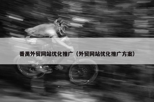 番禺外贸网站优化推广（外贸网站优化推广方案）